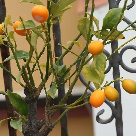 Casa vacanze Aloha Giardini Naxos Esterno foto