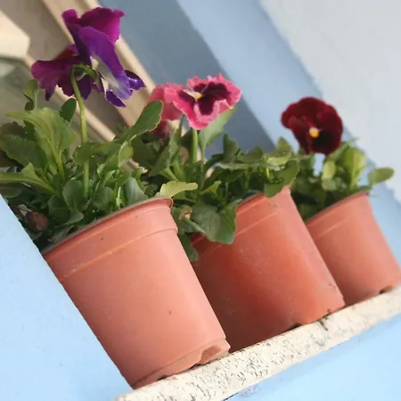 Casa vacanze Aloha Giardini Naxos Esterno foto